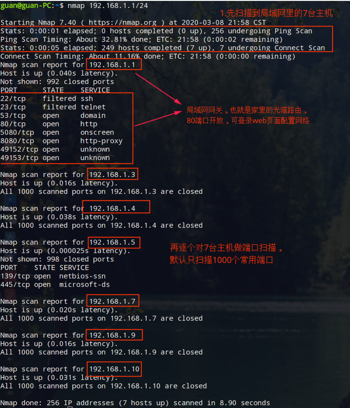 ARP 表信息