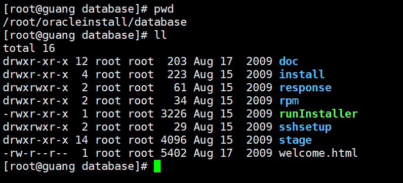 Docker 环境安装 Oracle 11c