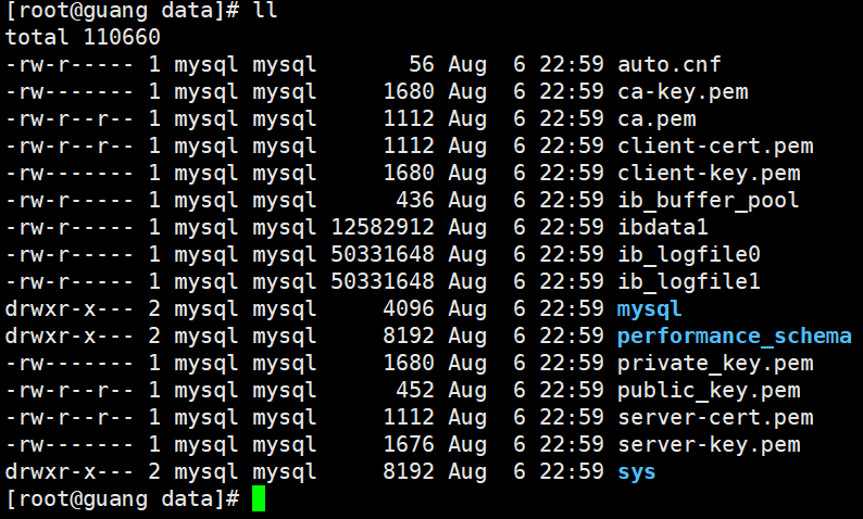 MySQL 初始化文件